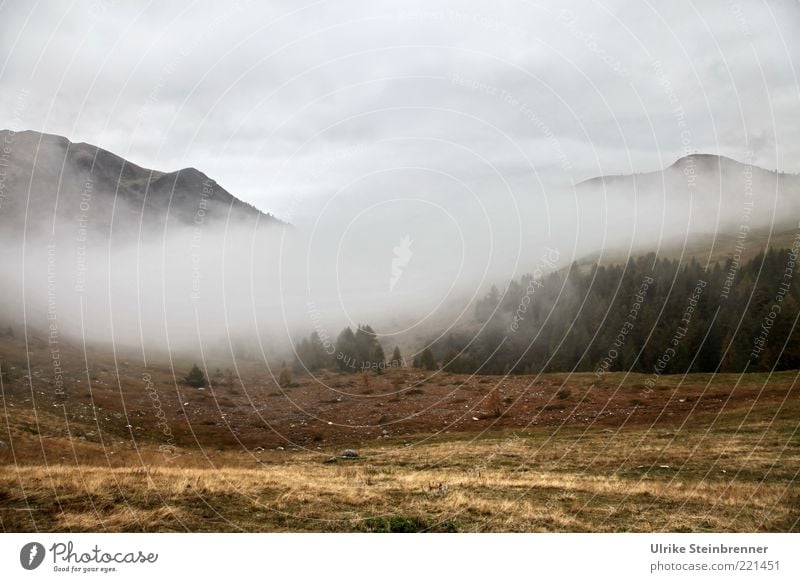 clouds of fog Mountain Environment Nature Landscape Sky Clouds Autumn Bad weather Fog Tree Rock Alps Peak Discover Natural Loneliness Uniqueness Climate Pass