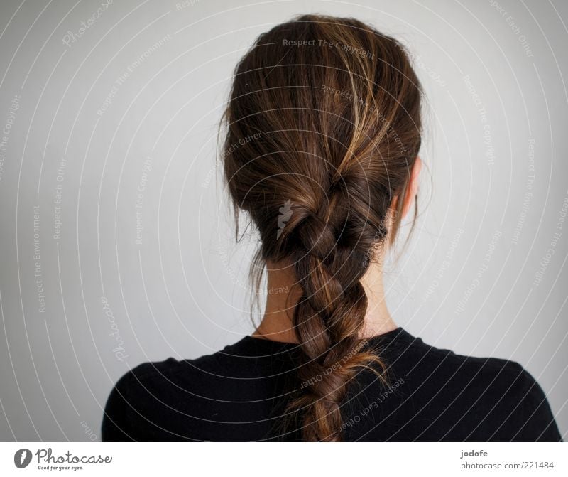 braids Human being Feminine 1 Brunette Black Plaited Braids Colour photo Subdued colour Interior shot Studio shot Copy Space left Day Light Rear view