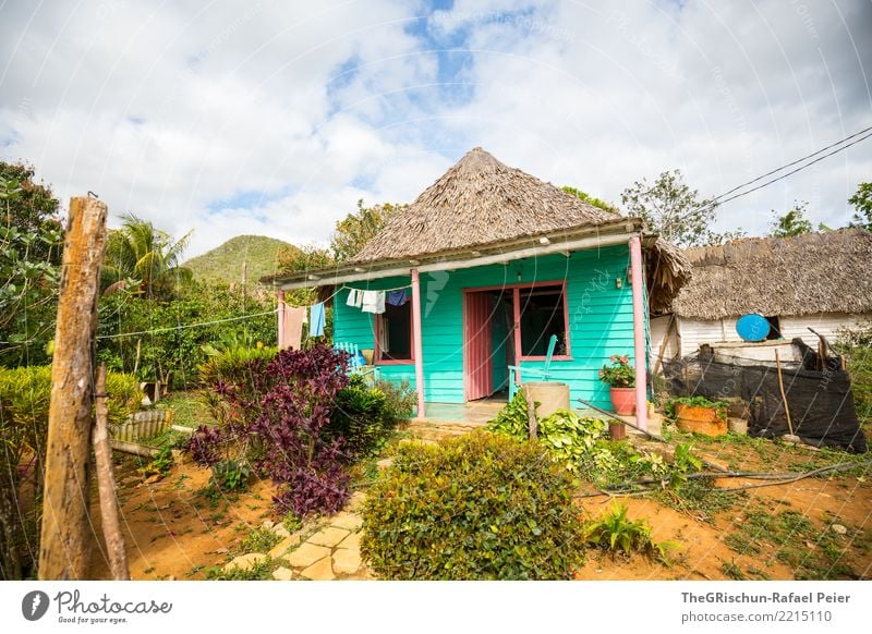 Vinales (Cuba) Environment Nature Village Blue Green Turquoise Multicoloured Life House (Residential Structure) Hut Thatched roof Simplistic Domicile