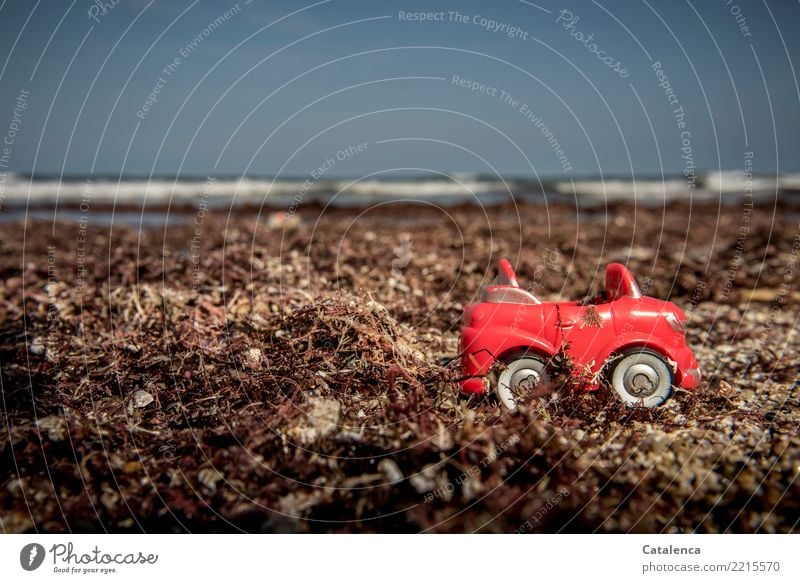 Trash! 2017 | Plastic waste Summer Summer vacation Sun Beach Ocean Landscape Plant Water Sky seaweed Algae Waves coast Means of transport Motoring Car