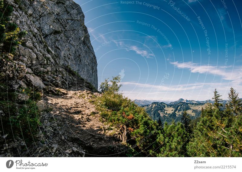 nice place Hiking Environment Nature Landscape Sky Summer Beautiful weather Bushes Forest Rock Alps Mountain Peak Gigantic Large Natural Blue Green Calm