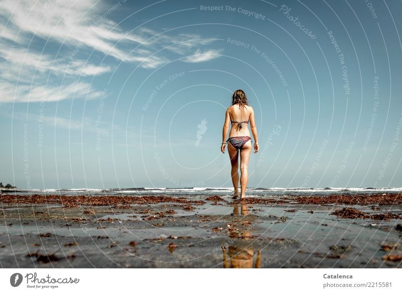 Frog perspective | woman goes into the sea Nature Beach Going Woman Bikini Sand Ocean Surf Waves Wet coast Horizon Sandy beach Sky Water Vacation & Travel