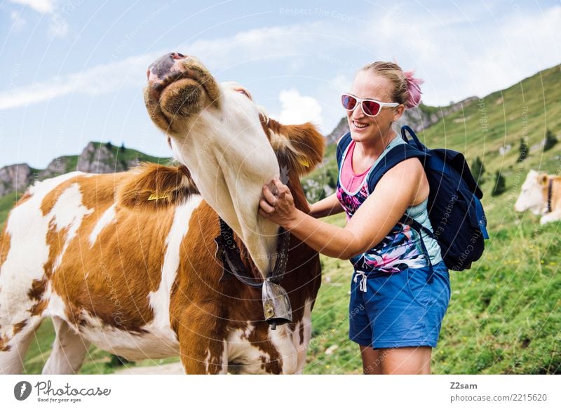 caress a cow Vacation & Travel Trip Mountain Hiking Young woman Youth (Young adults) 18 - 30 years Adults Nature Landscape Beautiful weather Meadow Alps