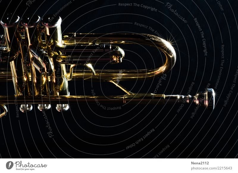 Trumpet 04 Art Music Listen to music Concert Outdoor festival Stage Opera Band Musician Orchestra Emotions Moody Joy Joie de vivre (Vitality) Success Power