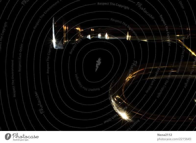 Trumpet 03 Art Music Listen to music Concert Outdoor festival Stage Band Musician Orchestra Emotions Moody Joy Joie de vivre (Vitality) Euphoria Optimism