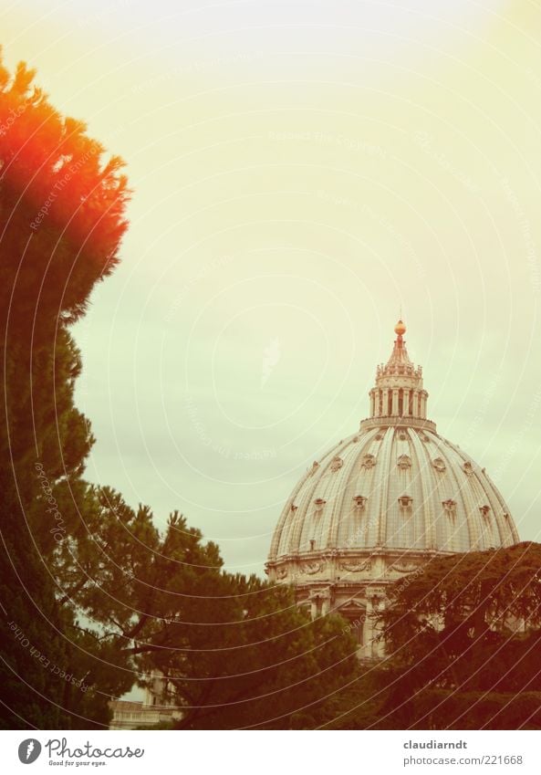 power centre Tree Stone pine Cypress Rome Old town Church Dome Manmade structures Roof Tourist Attraction Landmark Historic Domed roof St. Peter's Cathedral