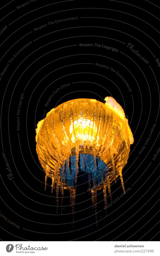 the lamp on Winter Climate Ice Frost Yellow Black Lamp Light Icicle Night Artificial light Low-key Worm's-eye view Lantern Street lighting Dark Illuminate