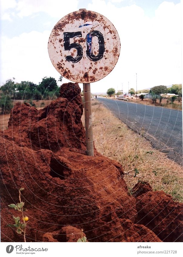 On the Road. Wild animal Termites' nest Old Brown Boredom Loneliness Infinity Past Transience Tansania Street Far-off places Signs and labeling Road sign 50