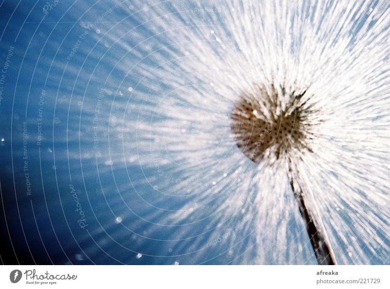 At ease. Water Wet Clean Blue White Take a shower Beach shower Shower head Jet of water Background picture Gush of water Worm's-eye view Exterior shot