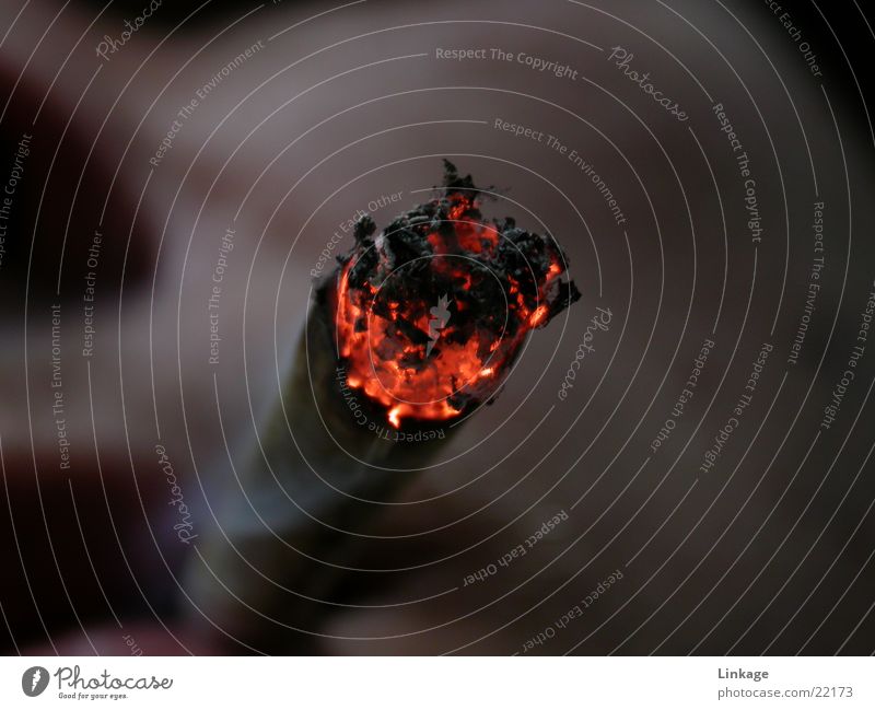 chilly ... Relaxation Embers Smoking New Testament Macro (Extreme close-up) Close-up Smoke Mouth jo&#105