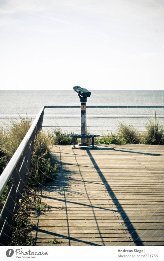 farsightedness Far-off places Freedom Environment Nature Landscape Cloudless sky Summer Beautiful weather Grass Bushes Coast North Sea Vantage point