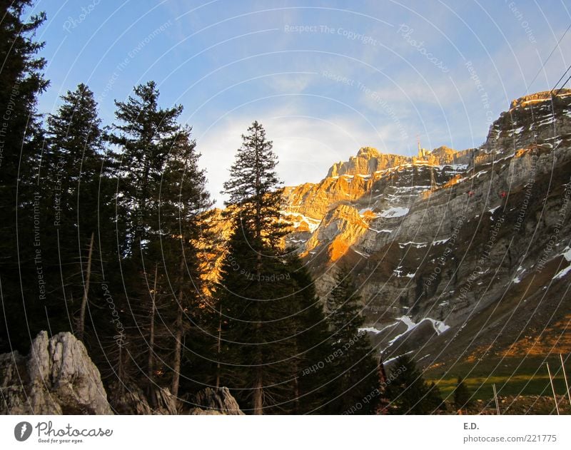 The glow of the mountains Far-off places Freedom Snow Winter vacation Mountain Environment Nature Landscape Sky Clouds Weather Beautiful weather Tree Rock Alps