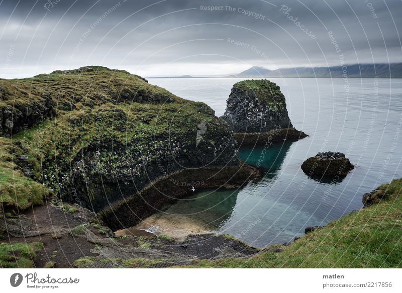 dream bay Nature Landscape Plant Air Clouds Spring Bad weather Rain Grass Moss Rock Mountain Coast Bay Ocean Wild animal Bird Flock Dark Sharp-edged Blue Brown