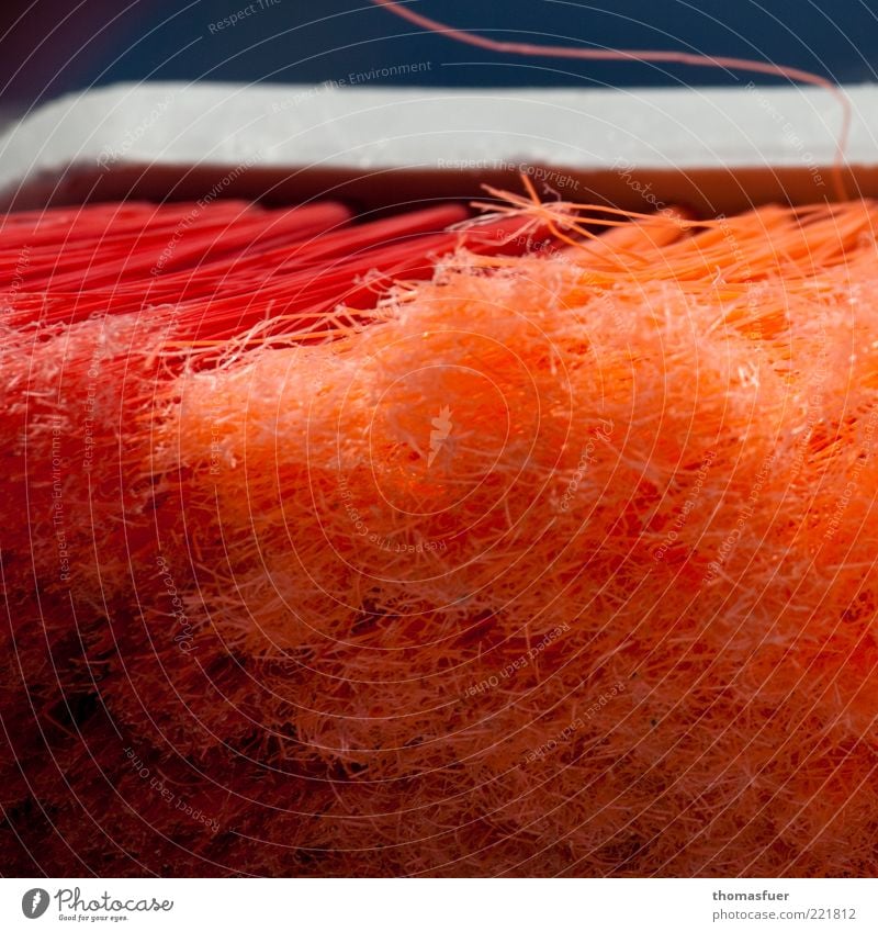 streetworker Cleaner Services Broom Utilize Cleaning Red Optimism Arrangement Colour photo Detail Contrast Shallow depth of field Housekeeping Orange Bristles