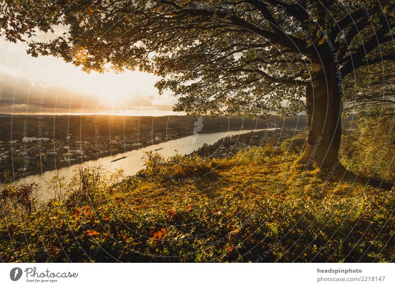 View of the Rhine Valley near Bonn in the golden autumn Nature Landscape Sky Clouds Autumn Hill Peak River Drake Positive Loneliness Relaxation Freedom