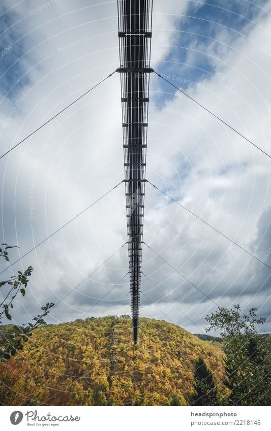 Underside of the Geierlay suspension bridge in autumn Vacation & Travel Tourism Trip Adventure Freedom Sightseeing Expedition Mountain Hiking Nature Landscape