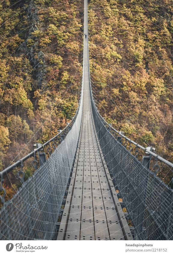 Geierlay suspension bridge in autumn Vacation & Travel Trip Hiking Nature Landscape Autumn Tree Forest Hill Mountain mortar village Bridge Tourist Attraction