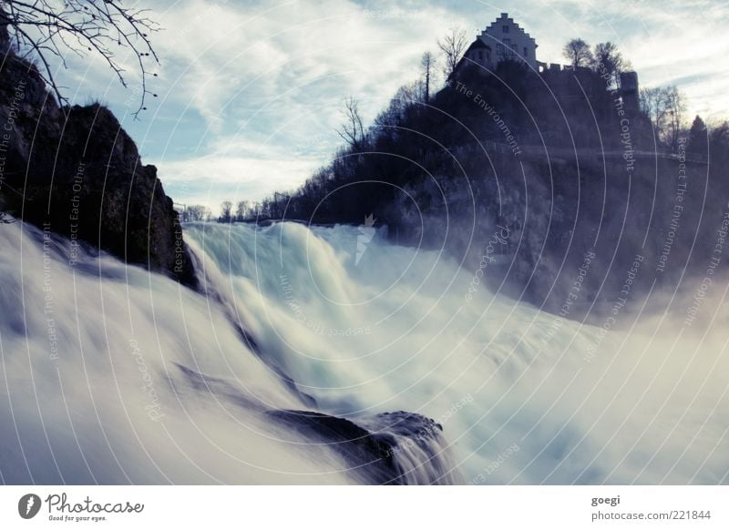 Such a Rhine Falls Nature Elements Water Drops of water Sky Clouds Autumn Beautiful weather Tree Hill River bank Waterfall Rhein falls Schaffhausen