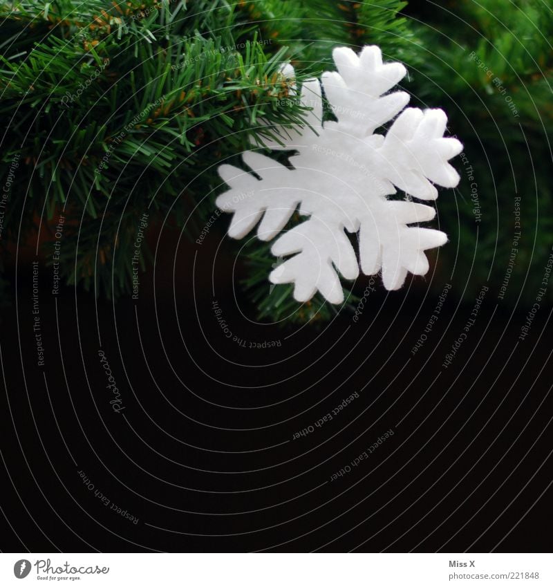 snowflake White Snowflake Snow crystal Fir branch Plastic False Felt Decoration Christmas decoration Christmas tree Christmas tree decorations Colour photo