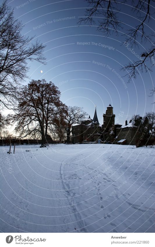 Dance of the Vampires Environment Nature Cloudless sky Moon Winter Weather Ice Frost Snow Tree Park Kassel Hesse Germany Europe Deserted