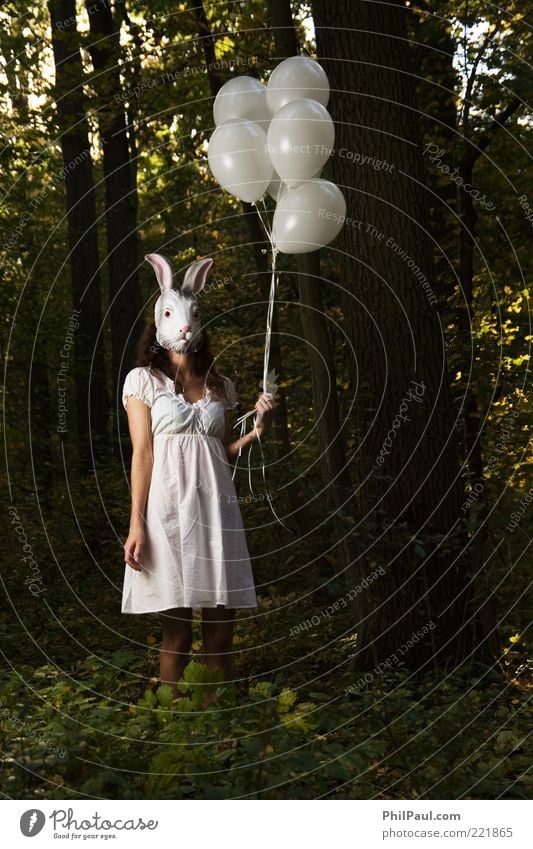 follow the white rabbit Exotic Face Carnival Hallowe'en Human being Feminine Young woman Youth (Young adults) Woman Adults 1 Nature Tree Forest Dress Mask