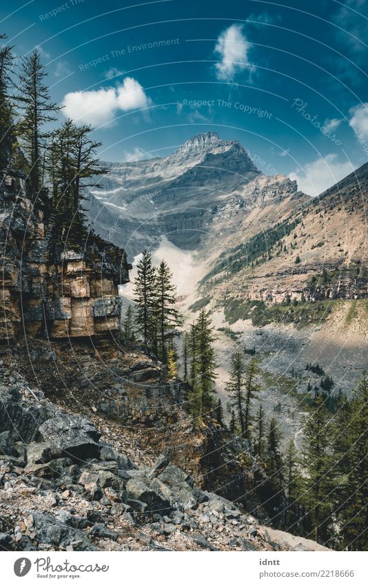 Mount Saddle and Lake Agnes. Photo taken in Banff National Park, Lifestyle Vacation & Travel Tourism Trip Adventure Mountain Hiking Nature Tree Rock Pelt