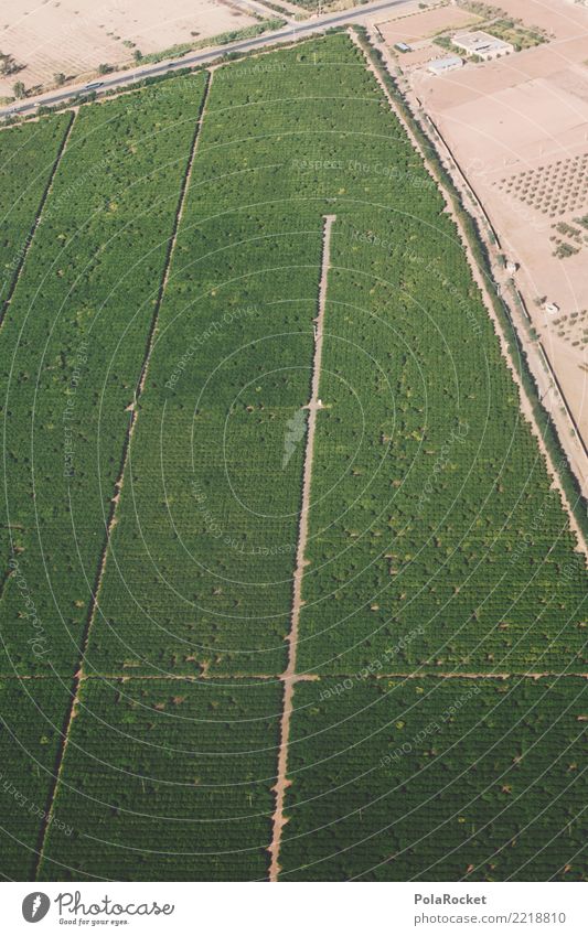 #A# water in the desert Environment Nature Sand Esthetic Morocco Desert Cast Irrigation Field Bird's-eye view Green Colour photo Multicoloured Exterior shot