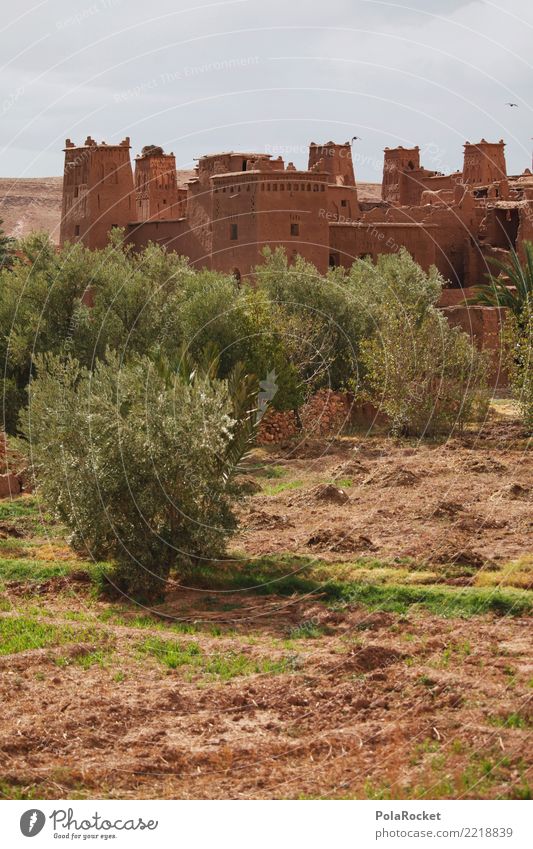 #A# Castle House (Residential Structure) Esthetic Morocco Fortress Near and Middle East Arabia Colour photo Multicoloured Exterior shot Deserted Copy Space left