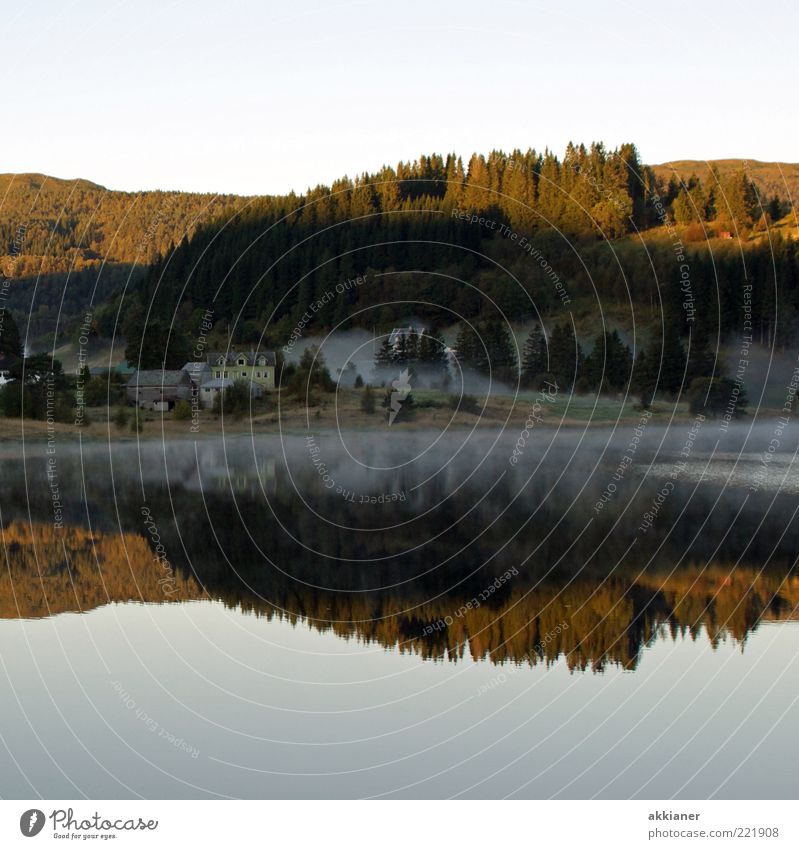 Reflection in the morning hour Environment Nature Landscape Plant Elements Water Sky Cloudless sky Autumn Tree Forest Hill Mountain Lakeside Wet Natural Fog