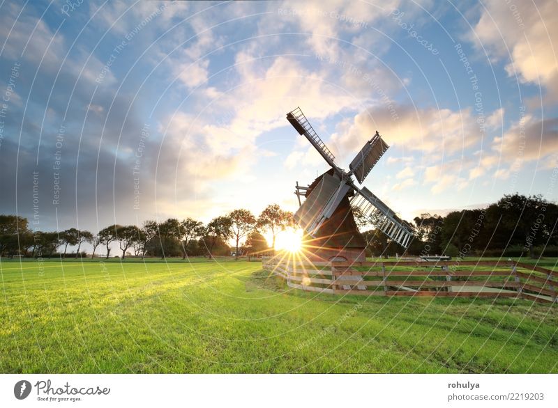 sunrise behind beautiful Dutch windmill in Holland Vacation & Travel Sun Nature Landscape Sunrise Sunset Sunlight Summer Beautiful weather Grass Meadow Building