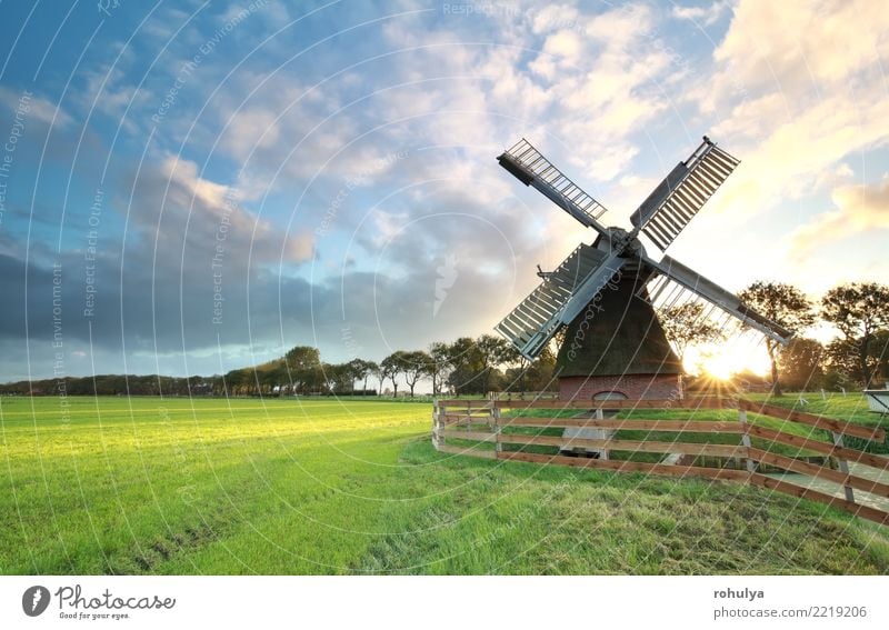 charming Dutch windmill ats sunrise Sun Nature Landscape Sky Clouds Sunrise Sunset Sunlight Summer Beautiful weather Grass Meadow Building Architecture Bright