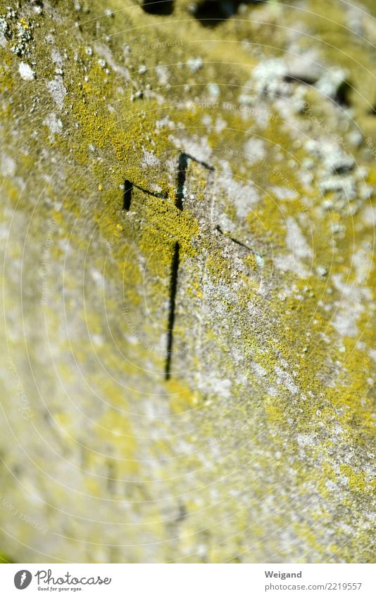 stone cross Funeral service Sharp-edged Gloomy To console Grateful Sadness Concern Grief Death Loneliness Crucifix Cemetery Christianity Tombstone