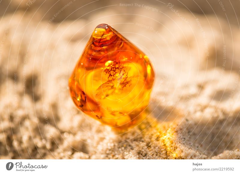 Amber at the Baltic Sea beach Alternative medicine Medication Beach Jewellery Stone Old Illuminate Bright Warmth Yellow Chain hazelnut chain Gravel Sandy beach