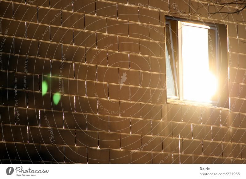 Congratulations to carl and boing House (Residential Structure) Facade Window Bright Brown Sunbeam Reflection Subdued colour Exterior shot Deserted