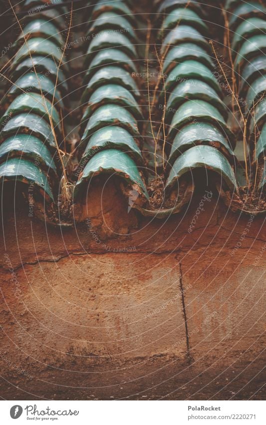 #A# roof view Art Esthetic Roof Roofing tile Many Morocco Marrakesh Colour photo Subdued colour Multicoloured Exterior shot Detail Experimental Abstract Pattern