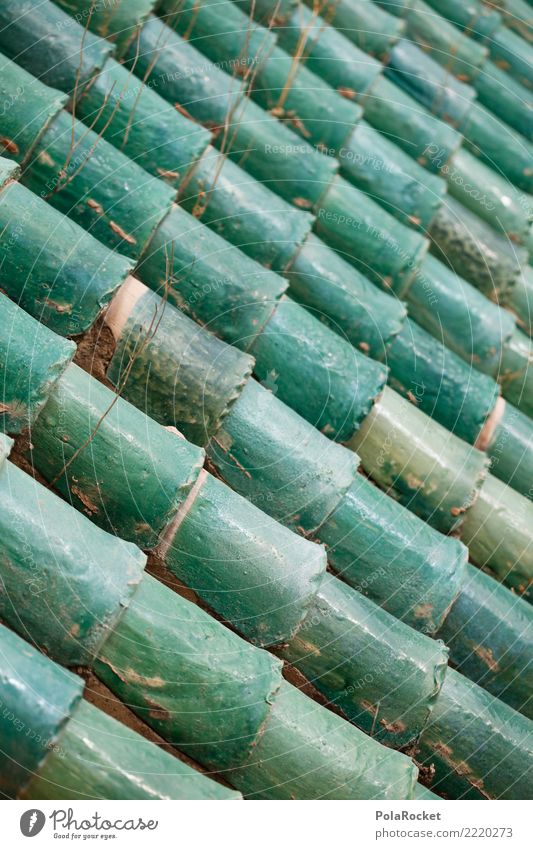 #A# Green roof Roof Esthetic Roofing tile Blue Many Architecture Near and Middle East Arabia Colour photo Multicoloured Exterior shot Close-up Experimental