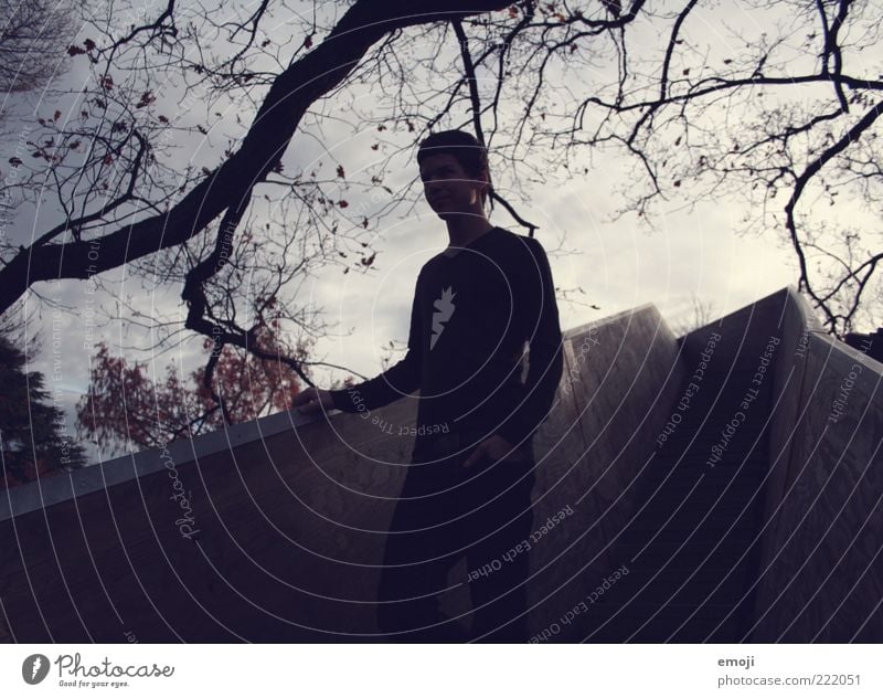 Tree'ppe Masculine Young man Youth (Young adults) 1 Human being 18 - 30 years Adults Park Blue Branch Stairs Moody Sky Stand Posture Colour photo Subdued colour