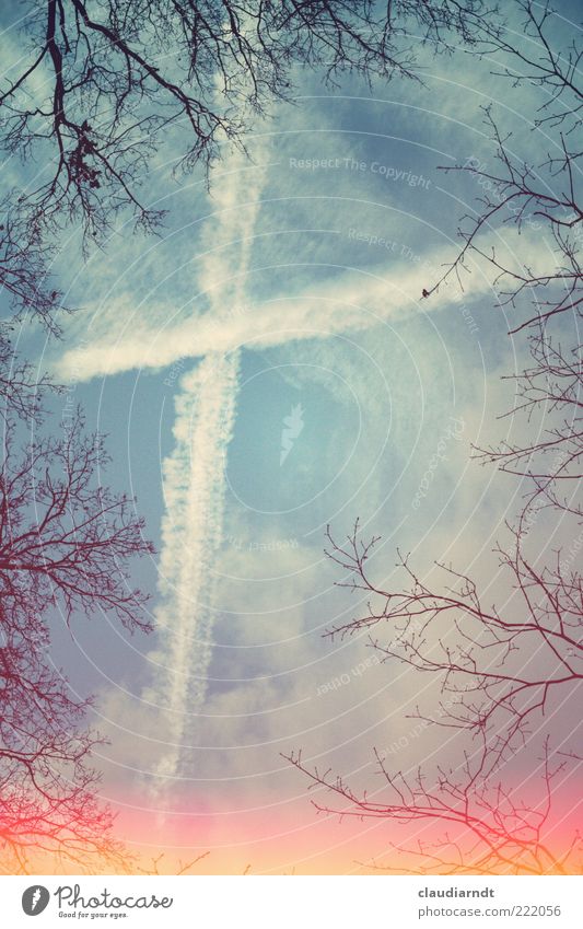 + Nature Sky Clouds Winter Tree Sign Crucifix Line Exceptional Hope Belief Sadness God Vapor trail Twig Frame Heaven Glare effect Retro Colours Wonder