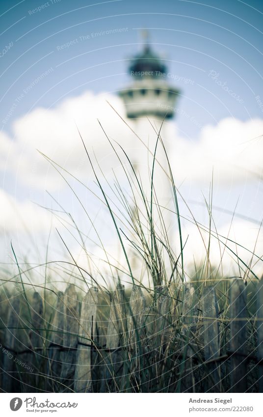 Egmond Vacation & Travel Summer vacation Lighthouse Environment Nature Landscape Sky Clouds Beautiful weather Grass Marram grass Coast Egmond aan Zee