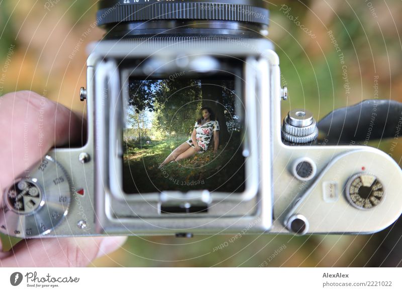 Full body image in the ground glass of an analog medium format camera of a tall beautiful woman with long dark curly hair in nature sitting barefoot under a tree