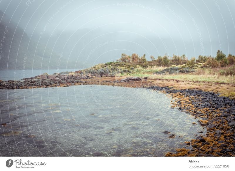 rain, coastal photograph, Lofoten, Scandinavia, fog Nature Elements Climate Bad weather Fog Rain Coast Bay Fjord Ocean Lofotes Dark Maritime Wet Concern Grief