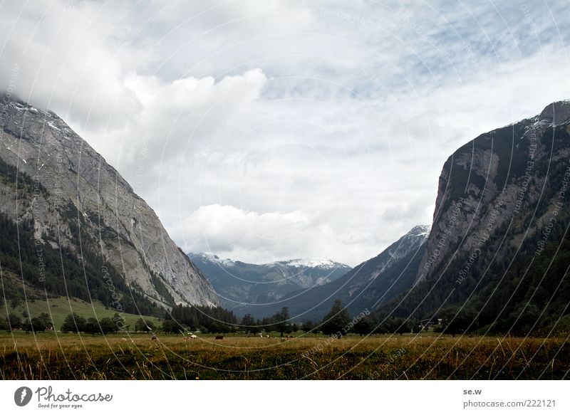 August Sky Clouds Weather Wind Grass Meadow Field Alps Mountain Chalk alps Karwendelgebirge Peak Snowcapped peak Alpine pasture Dark Far-off places Beautiful