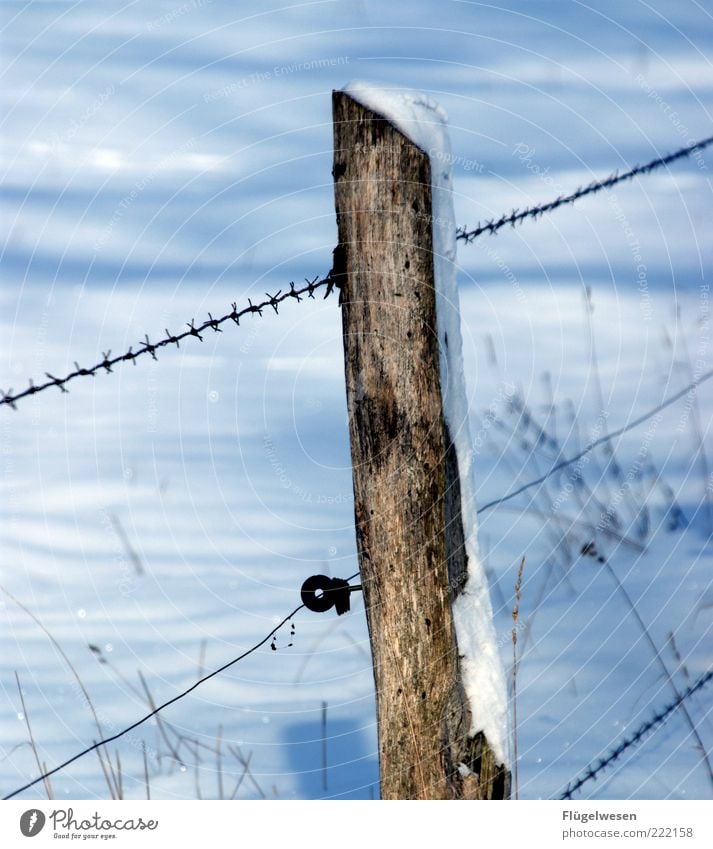 Caught in the snow Winter Snow Climate Weather Ice Frost Meadow Field Cold Safety Claustrophobia Fence Barbed wire Fence post Barbed wire fence Wooden stake