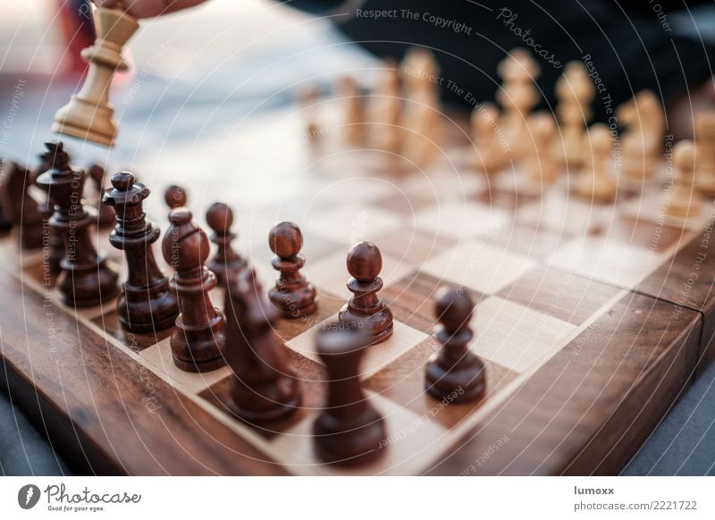 ChessMATT Chessboard Chess piece Playing Brown Leisure and hobbies Planning Blur Board game Colour photo Shallow depth of field