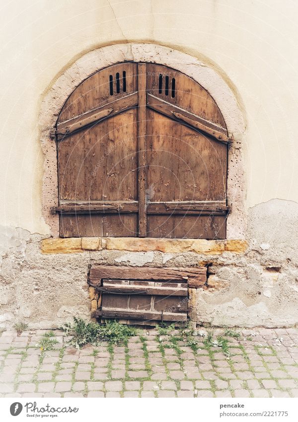 crafts | ventilation technology Old town Wall (barrier) Wall (building) Stairs Facade Door Stone Wood Esthetic Authentic Historic Arch Gate Cobblestones Alsace