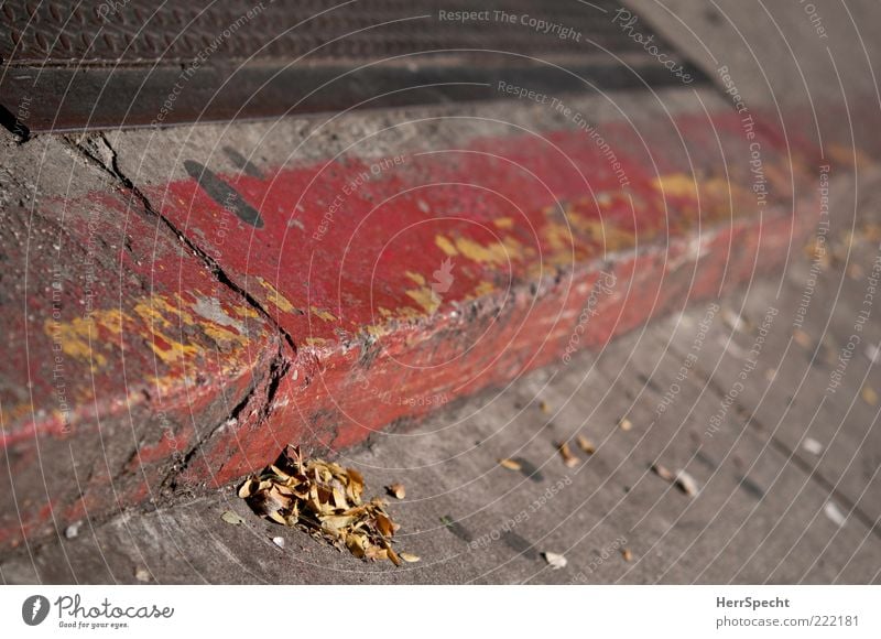 curbside Leaf Street Yellow Gray Red Curbside Sidewalk Blown away Autumn leaves Concrete Stone Corner Furrow Colour photo Subdued colour Exterior shot Deserted