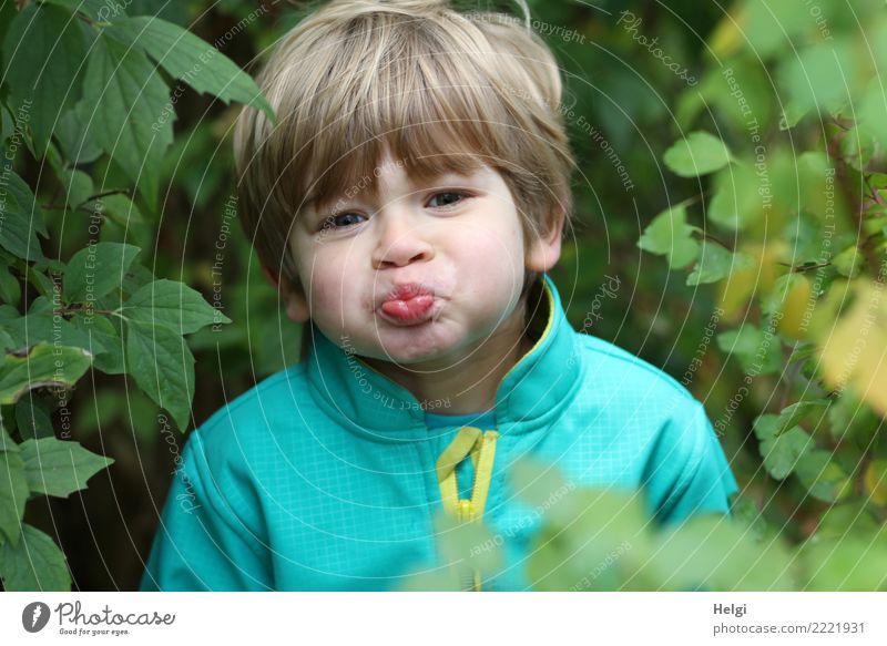 Portrait of a little boy pulling a pout Human being Masculine Child Boy (child) Infancy Head Hair and hairstyles Face 1 3 - 8 years Environment Nature Plant