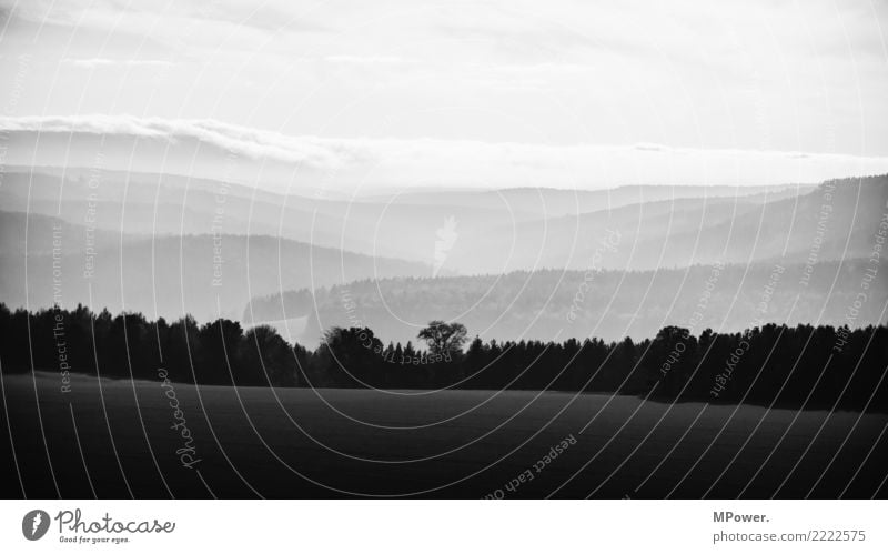 black to white Environment Nature Landscape Clouds Tree Freedom Forest Treetop Silhouette Fog Shroud of fog Saxony Saxon Switzerland Baumweg primeval forest