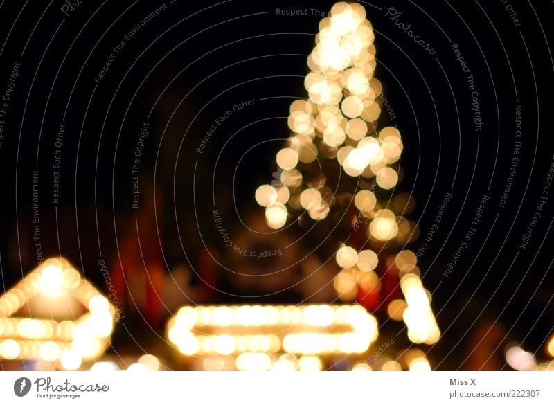 Ulm Christmas Market Illuminate Christmas Fair Market stall Places Christmas tree Christmas & Advent Colour photo Multicoloured Exterior shot Pattern Deserted