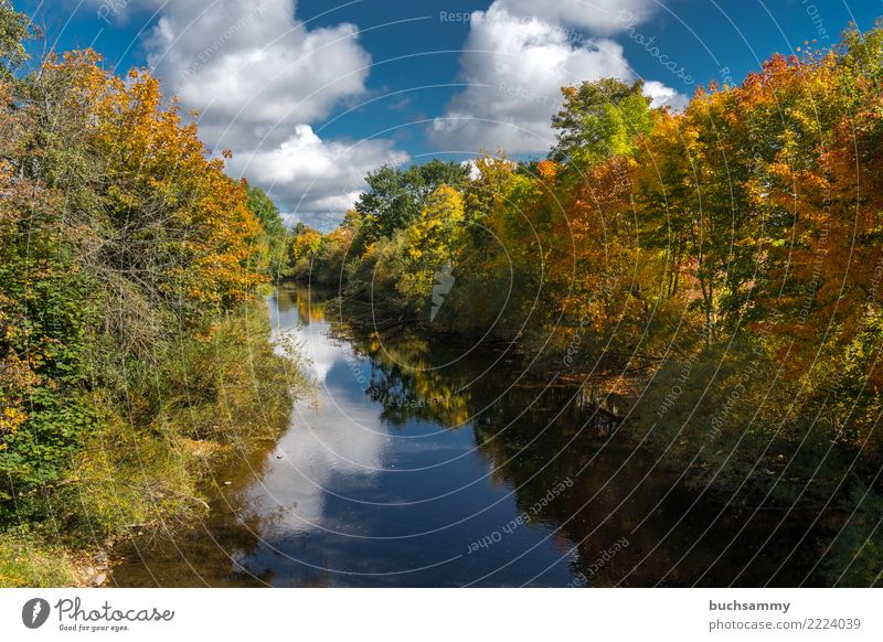 Autumn at the river Nature Landscape Clouds Tree Leaf River Blue Yellow Green Earth Europe Seasons Orange Germany Sky Colour photo Multicoloured Exterior shot